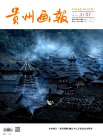 贵州画报